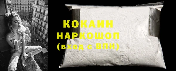 гашик Новозыбков