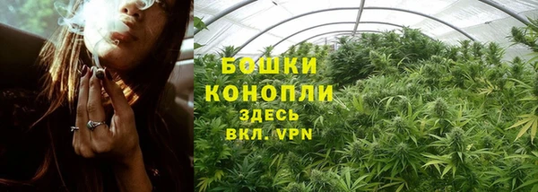 Альфа ПВП Нея