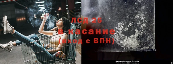 гашик Новозыбков