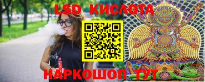 стафф Краснознаменск