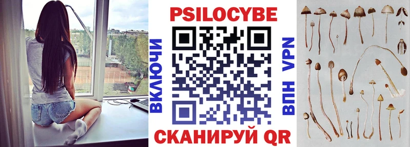 Псилоцибиновые грибы прущие грибы  Тула 