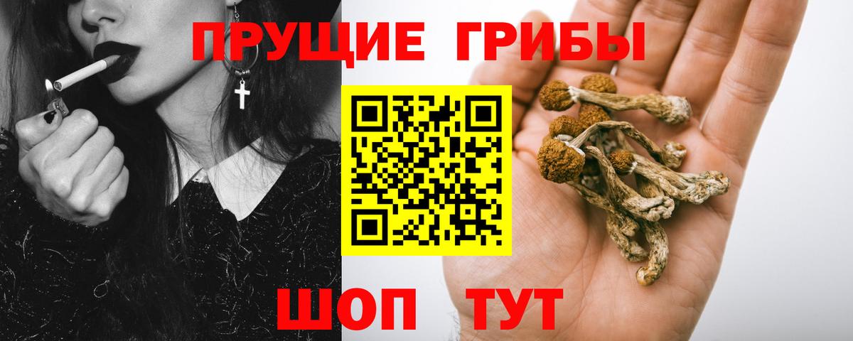 Тула  Псилоцибиновые грибы ЛСД  Вход с VPN  Галлюциногенные грибы Psilocybine cubensis 