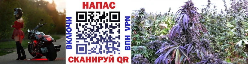 Каннабис Bruce Banner где купить наркоту Тула